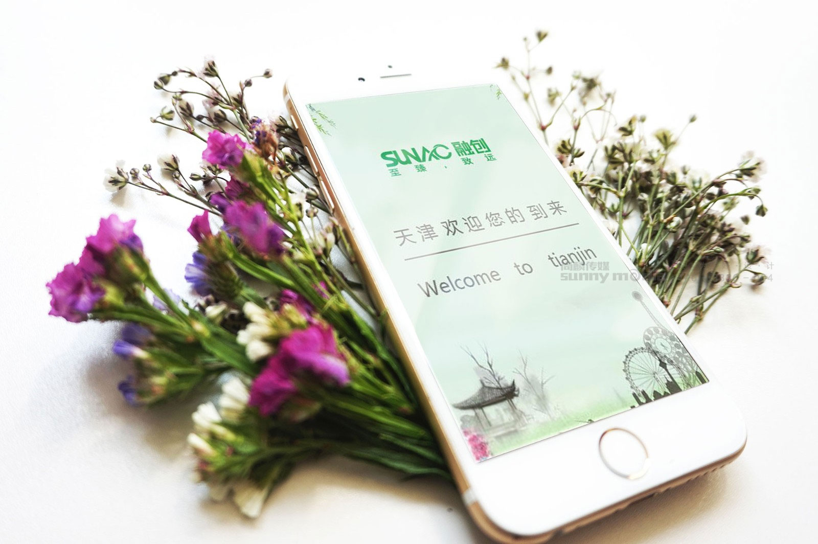 网站网页 / 电商设计 / 微信公众号 / APP / 小程序（创意+设计+技术）网站网页设计，微信营销