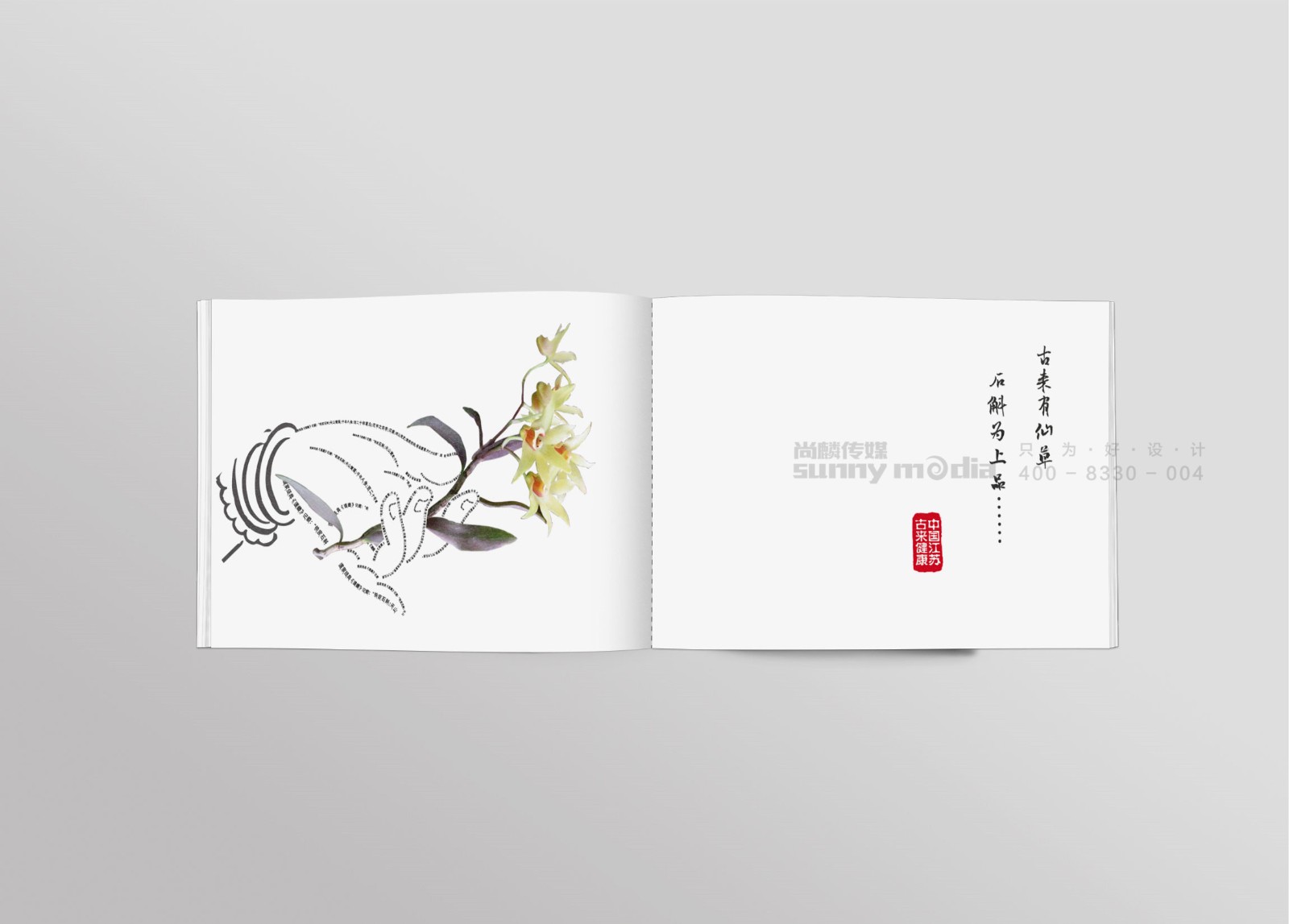企业画册 / 产品样本 / 宣传册 / 纪念画册 / 创意海报 / 视觉单页（策划+摄影+设计+制作）