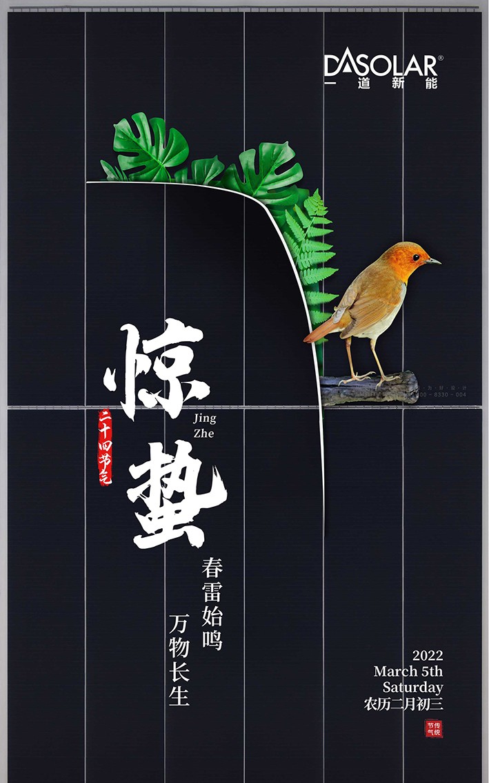  企业画册 / 产品样本 / 宣传册 / 纪念画册 / 创意海报 / 视觉单页（策划+摄影+设计+制作）