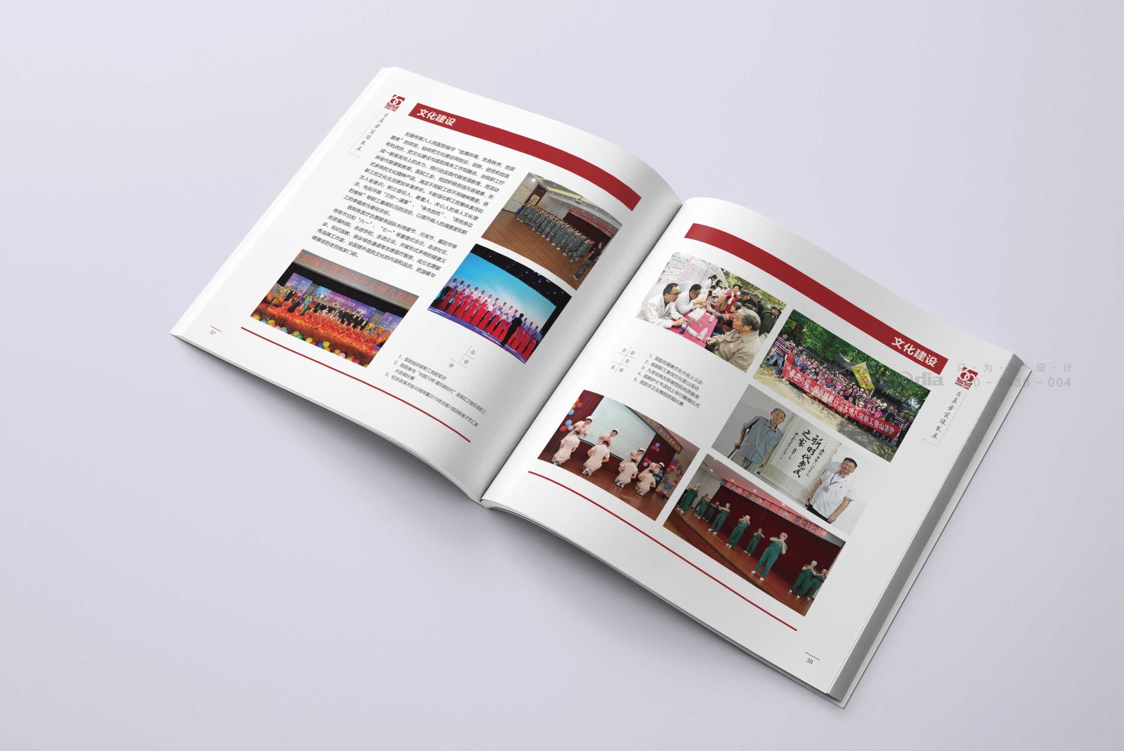 企业画册 / 产品样本 / 宣传册 / 纪念画册 / 创意海报 / 视觉单页（策划+摄影+设计+制作）