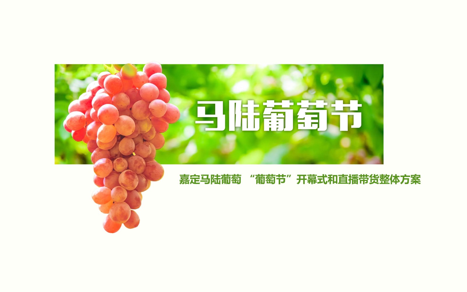 展会设计 / 导视系统 / 环艺可视化 / 企业软装设计（设计+执行）